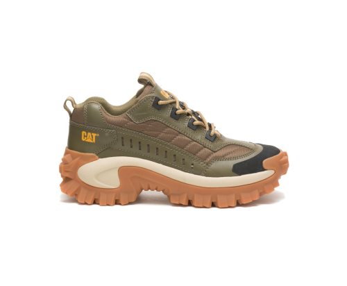 Caterpillar CAT Intruder Shoe Vrijetijdsschoenen Heren Donkerolijfgroen Bruin | CAT-460BA