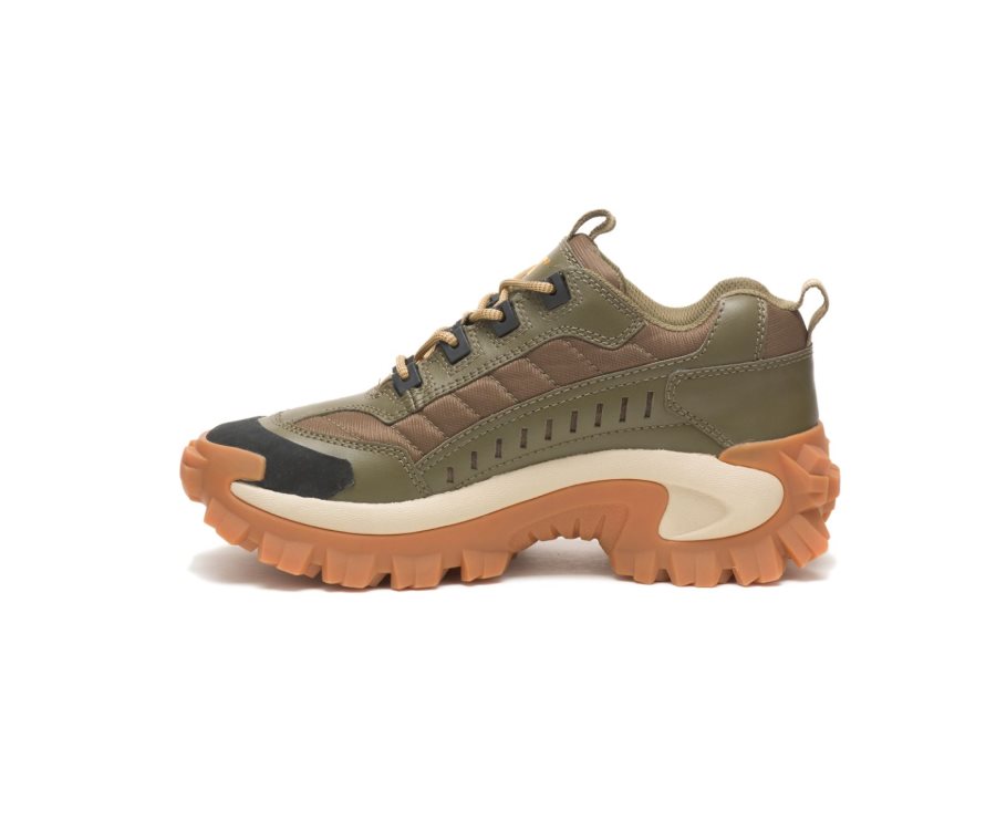 Caterpillar CAT Intruder Shoe Vrijetijdsschoenen Dames Donkerolijfgroen Bruin | CAT-096OK