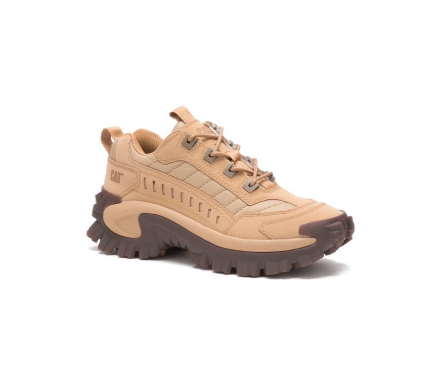 Caterpillar CAT Intruder Shoe Vrijetijdsschoenen Dames Bruin | CAT-139GK