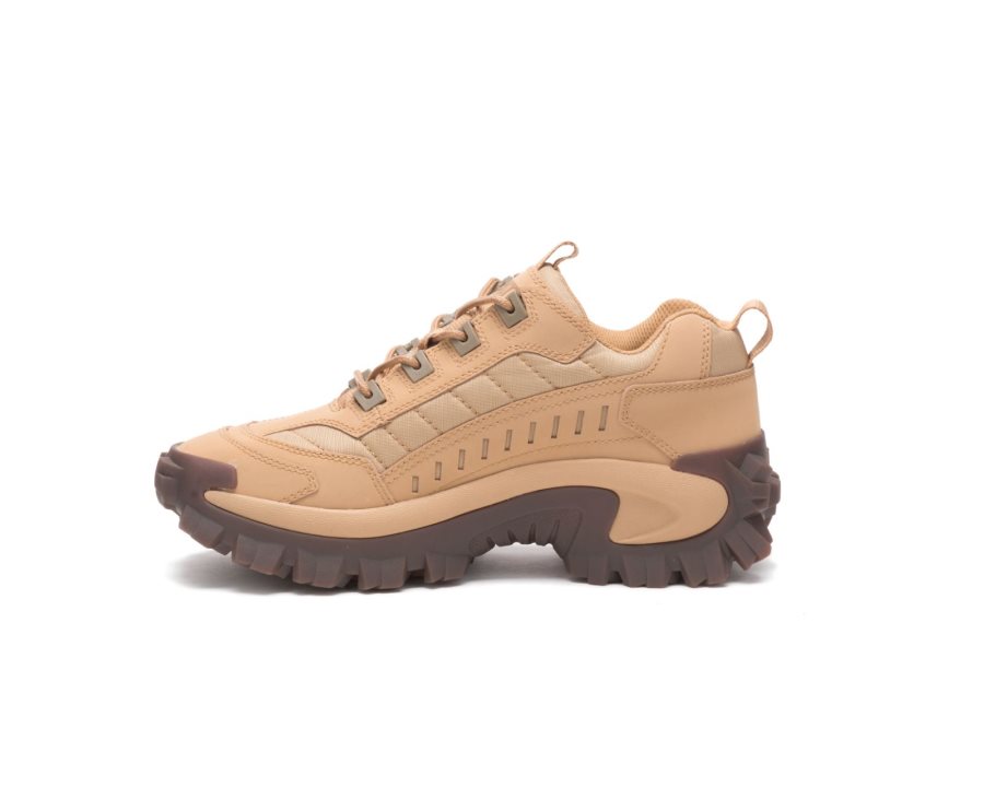 Caterpillar CAT Intruder Shoe Vrijetijdsschoenen Dames Bruin | CAT-139GK