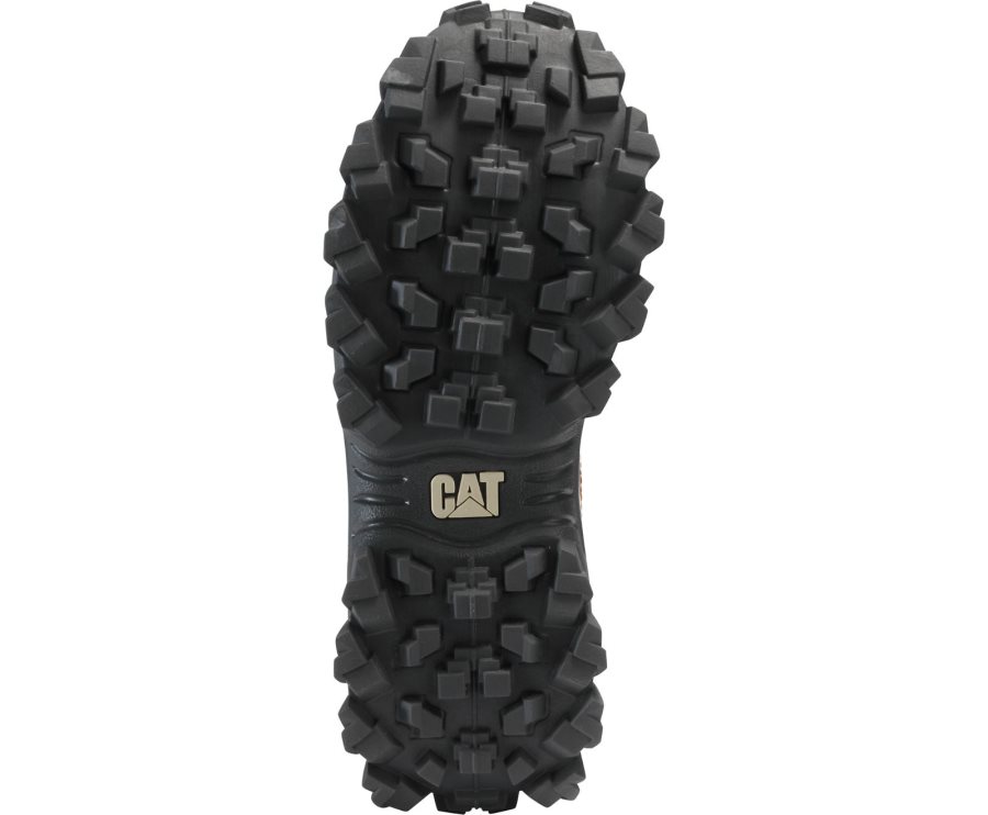 Caterpillar CAT Intruder Shoe Vrijetijdsschoenen Heren Bruin Beige | CAT-183YQ