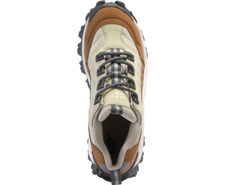 Caterpillar CAT Intruder Shoe Vrijetijdsschoenen Heren Bruin Beige | CAT-183YQ