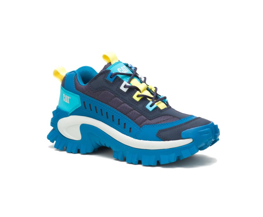 Caterpillar CAT Intruder Shoe Vrijetijdsschoenen Dames Donkerblauw Blauw | CAT-234VG