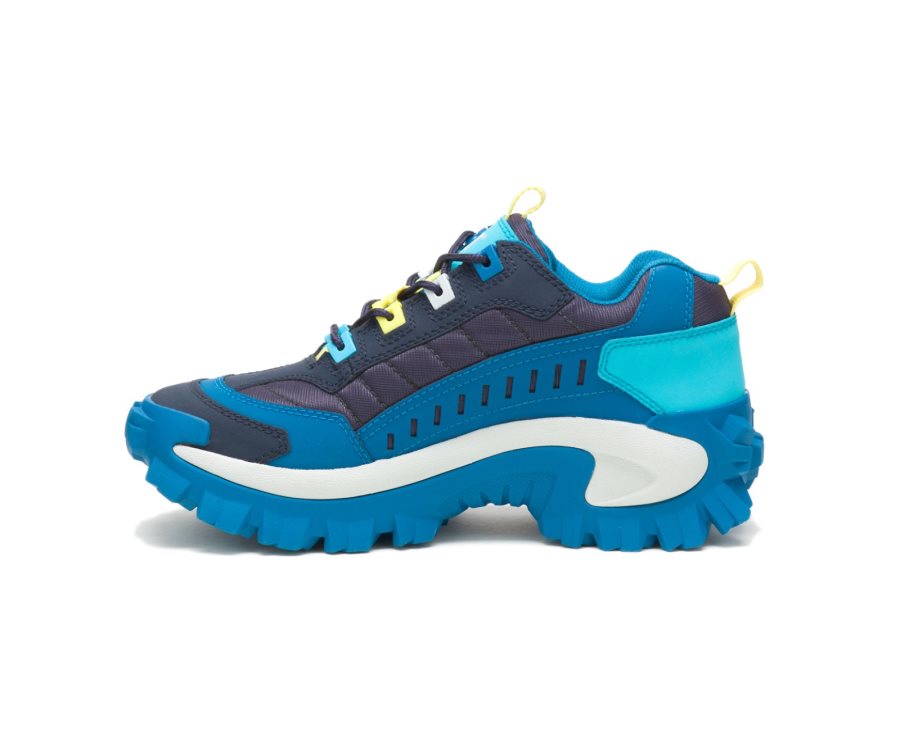 Caterpillar CAT Intruder Shoe Vrijetijdsschoenen Dames Donkerblauw Blauw | CAT-234VG