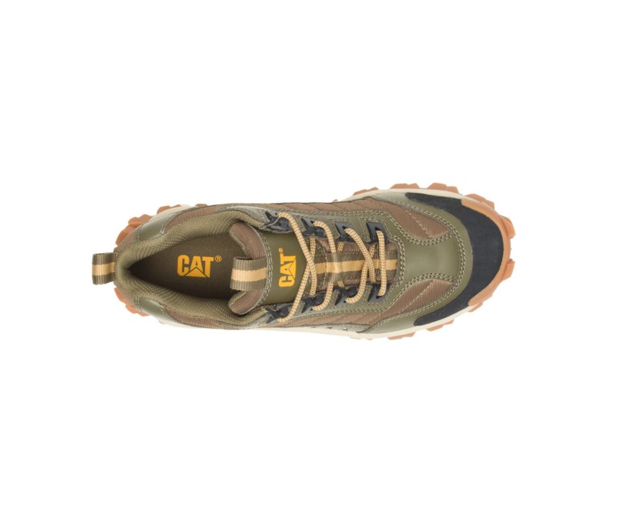 Caterpillar CAT Intruder Shoe Vrijetijdsschoenen Heren Donkerolijfgroen Bruin | CAT-460BA