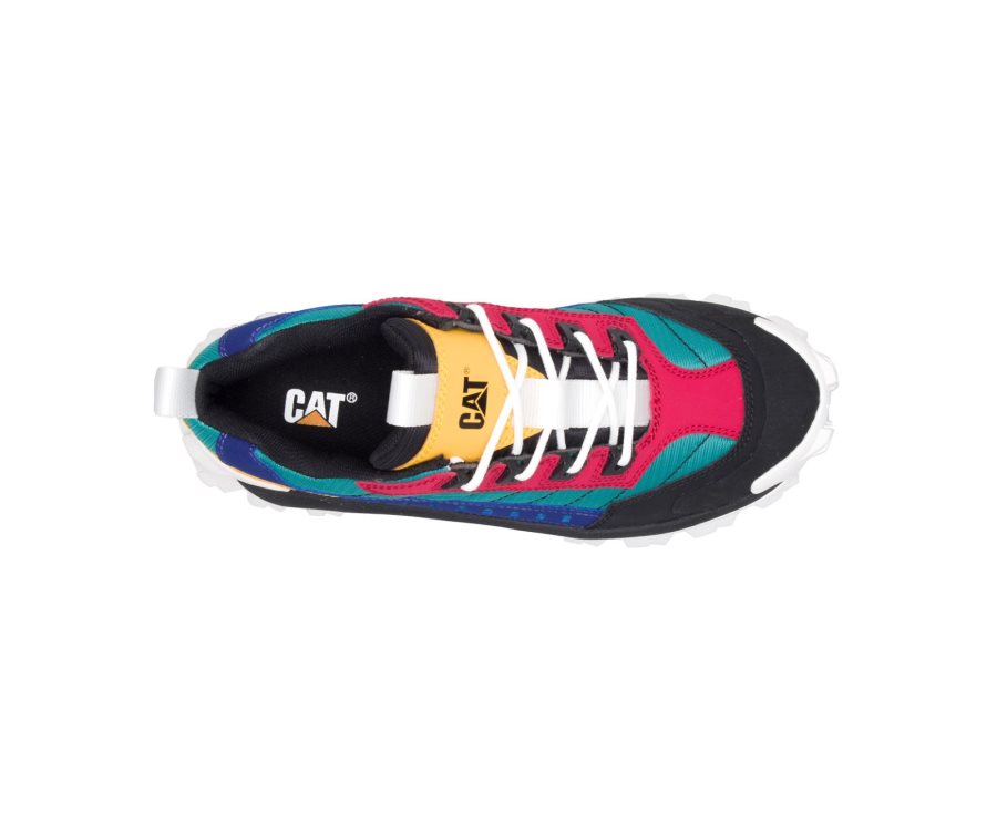 Caterpillar CAT Intruder Shoe Vrijetijdsschoenen Dames Zwart Gekleurd | CAT-504TE