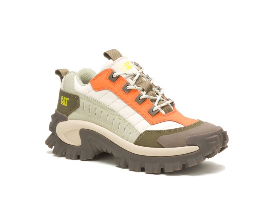 Caterpillar CAT Intruder Shoe Vrijetijdsschoenen Dames Grijs | CAT-764KO