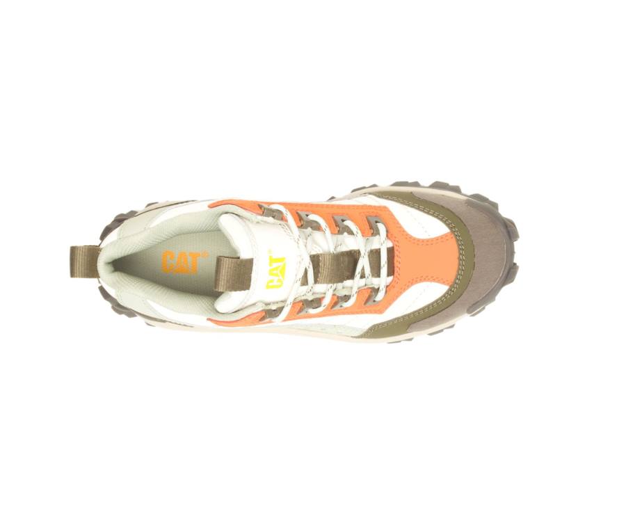 Caterpillar CAT Intruder Shoe Vrijetijdsschoenen Dames Grijs | CAT-764KO