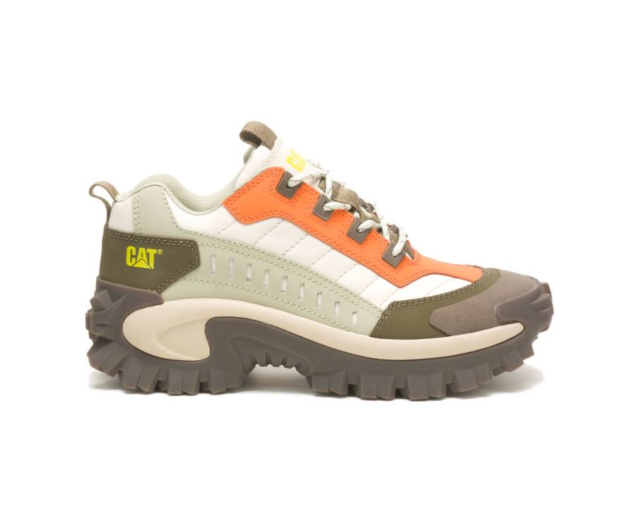 Caterpillar CAT Intruder Shoe Vrijetijdsschoenen Dames Grijs | CAT-764KO