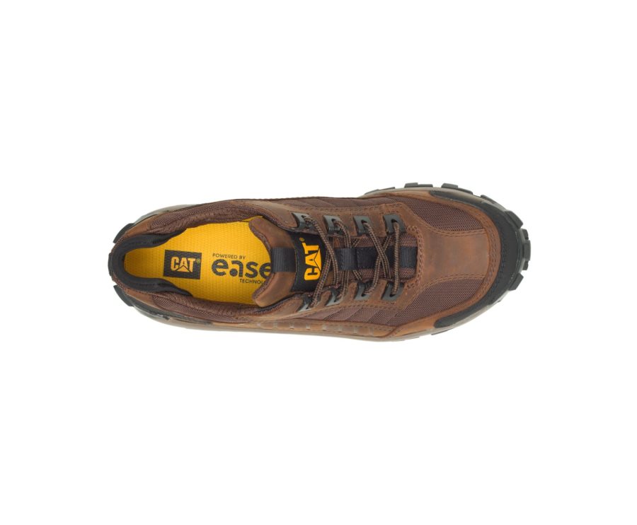 Caterpillar CAT Invader Steel Neus Werkschoenen Heren Donkerbruin | CAT-637UT