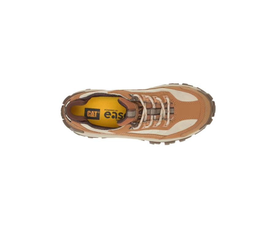 Caterpillar CAT Invader Steel Neus Werkschoenen Dames Bruin Bruin | CAT-748KO